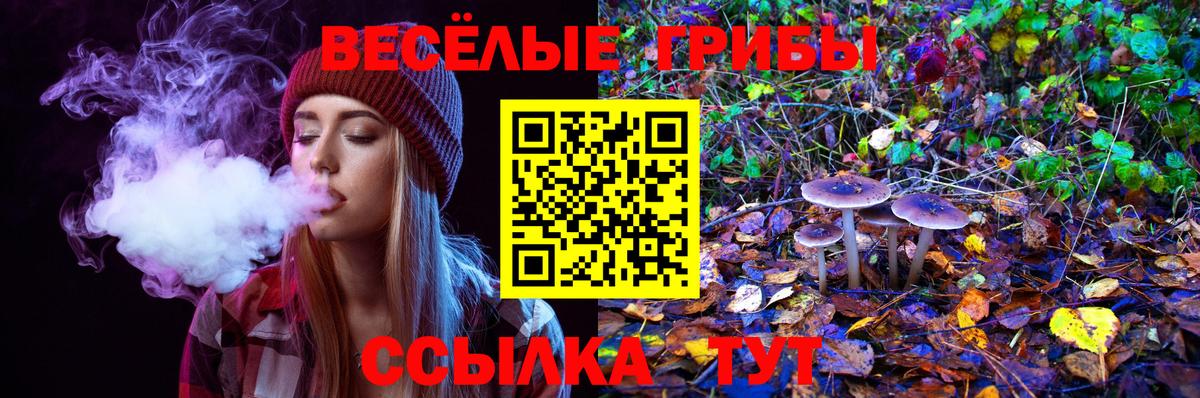 Псилоцибиновые грибы MAGIC MUSHROOMS Сибай