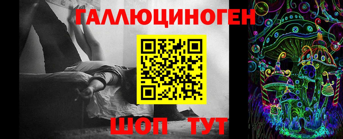 где купить наркоту  Псилоцибиновые грибы ЛСД  Вход с VPN  Сибай 
